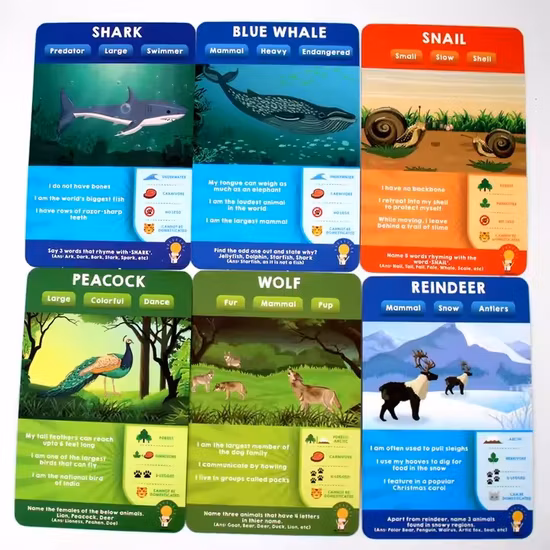 Adult Board Game Children′s Education Toys Card Game